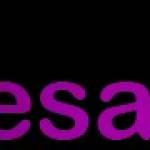 wholesale24shop Profile Picture