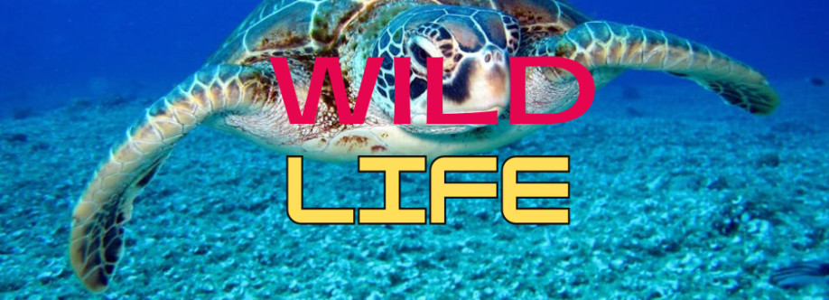 WildLife Cover Image