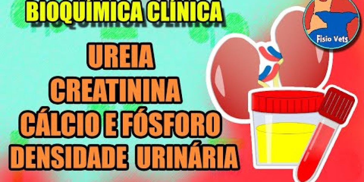 Pressão Alta e Saúde Renal: O Que Cada Tutor de Cães e Gatos Precisa Saber