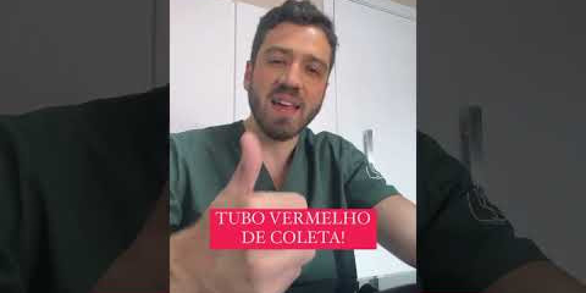 Entendendo a Perda de Apetite em Cães e Gatos com Doença Renal: O Que Está Por Trás Dessa Luta?