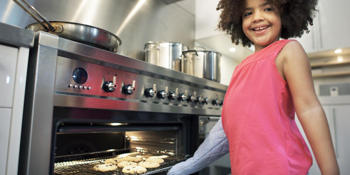 What's The Reason Everyone Is Talking About Best Integrated Cooker This Moment
