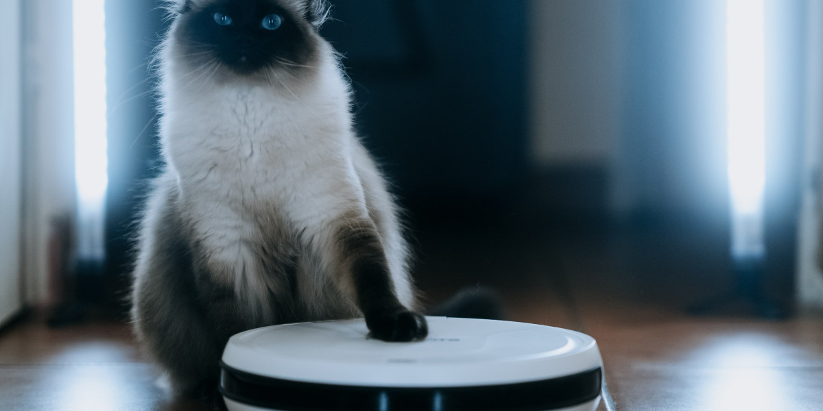Guide To Cheap Robot Vacuum Cleaner: The Intermediate Guide Towards Cheap Robot Vacuum Cleaner