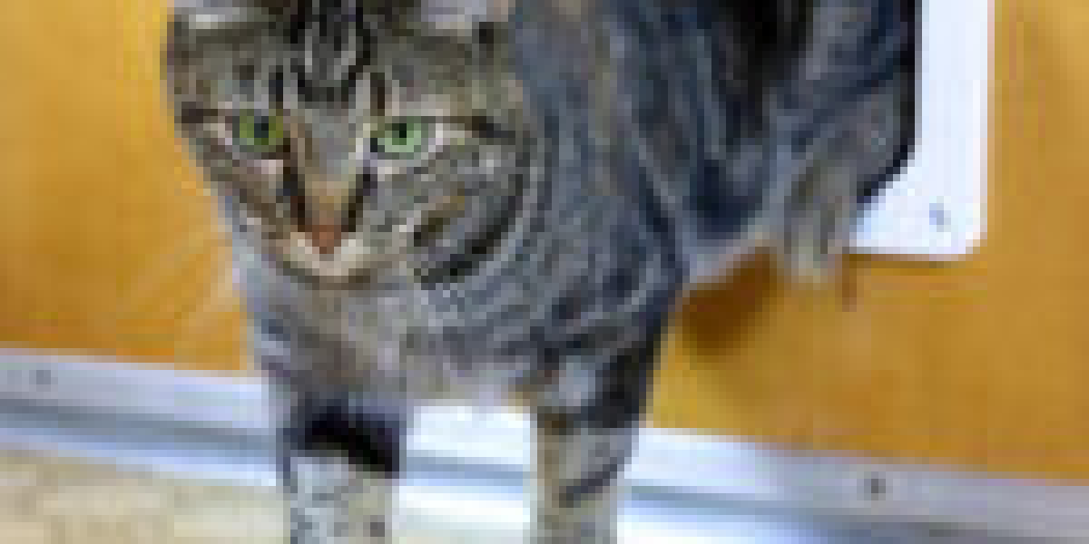 10 Tell-Tale Signs You Must See To Get A New Custom Cat Flap Installation