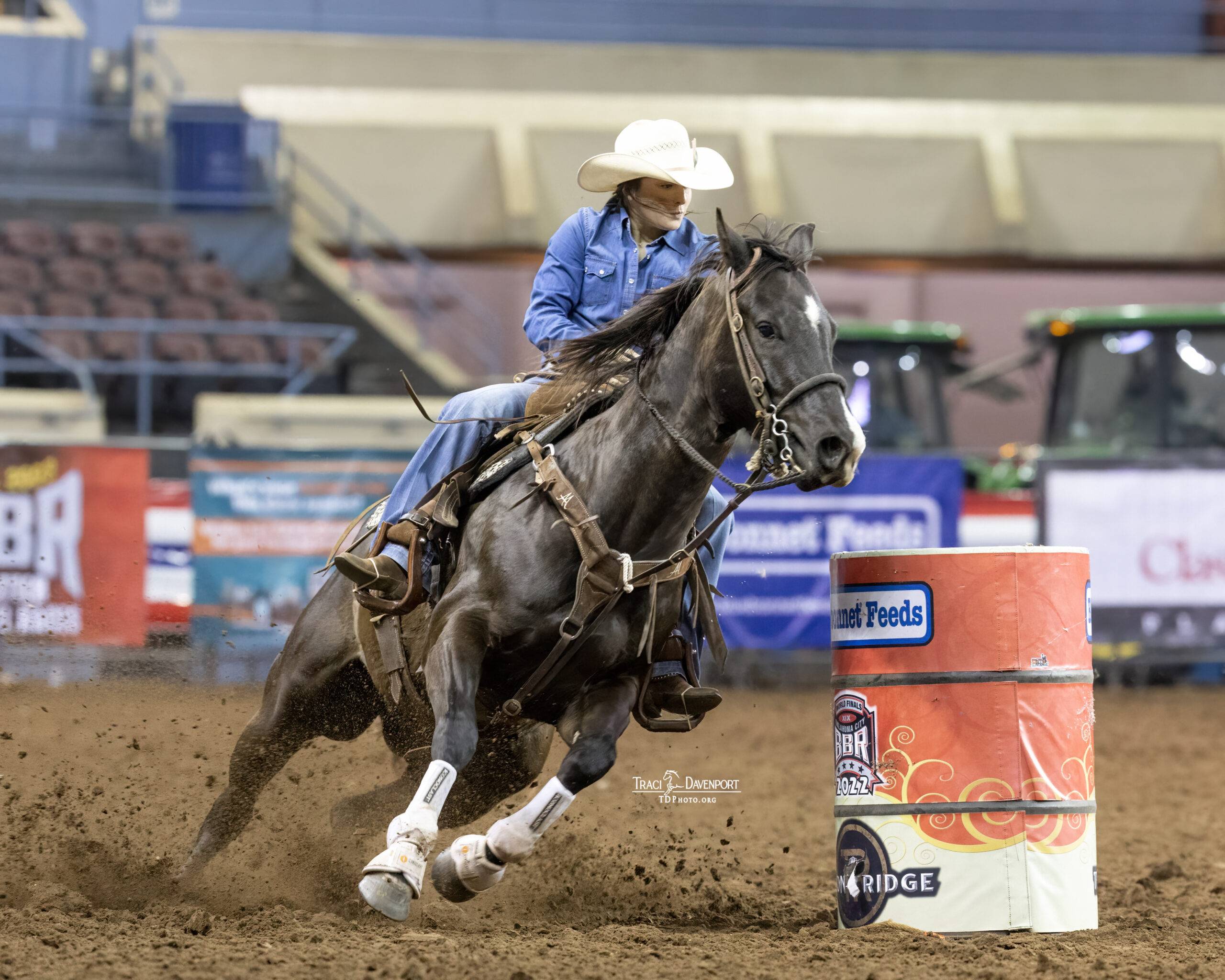 Shop Premium Joint & Horse Supplements | Animal Element